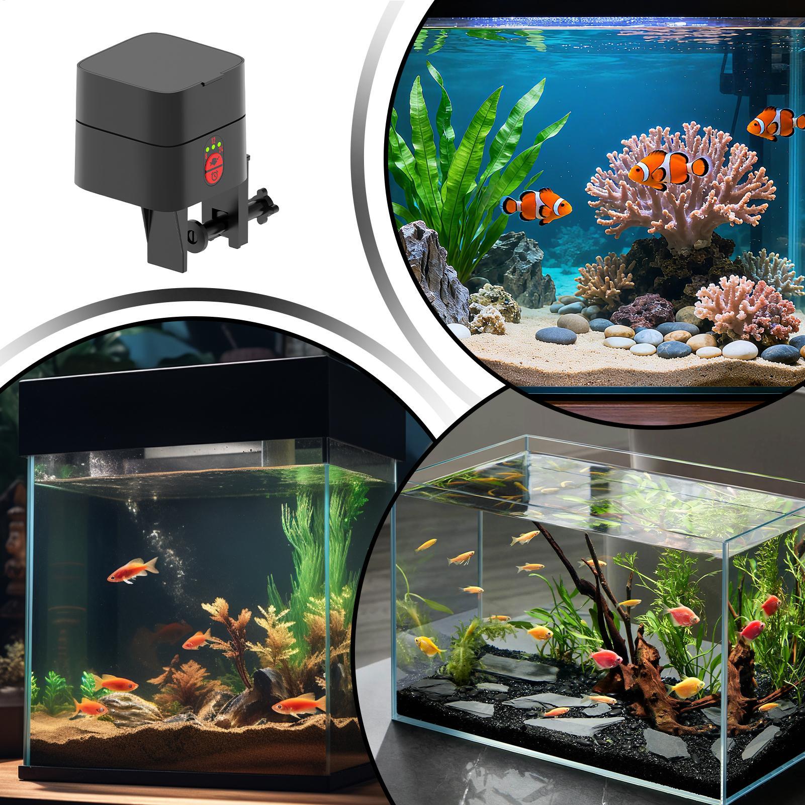 Aquarium Fish Auto Feeder - موزع طعام أوتوماتيكي للأسماك قابل لإعادة