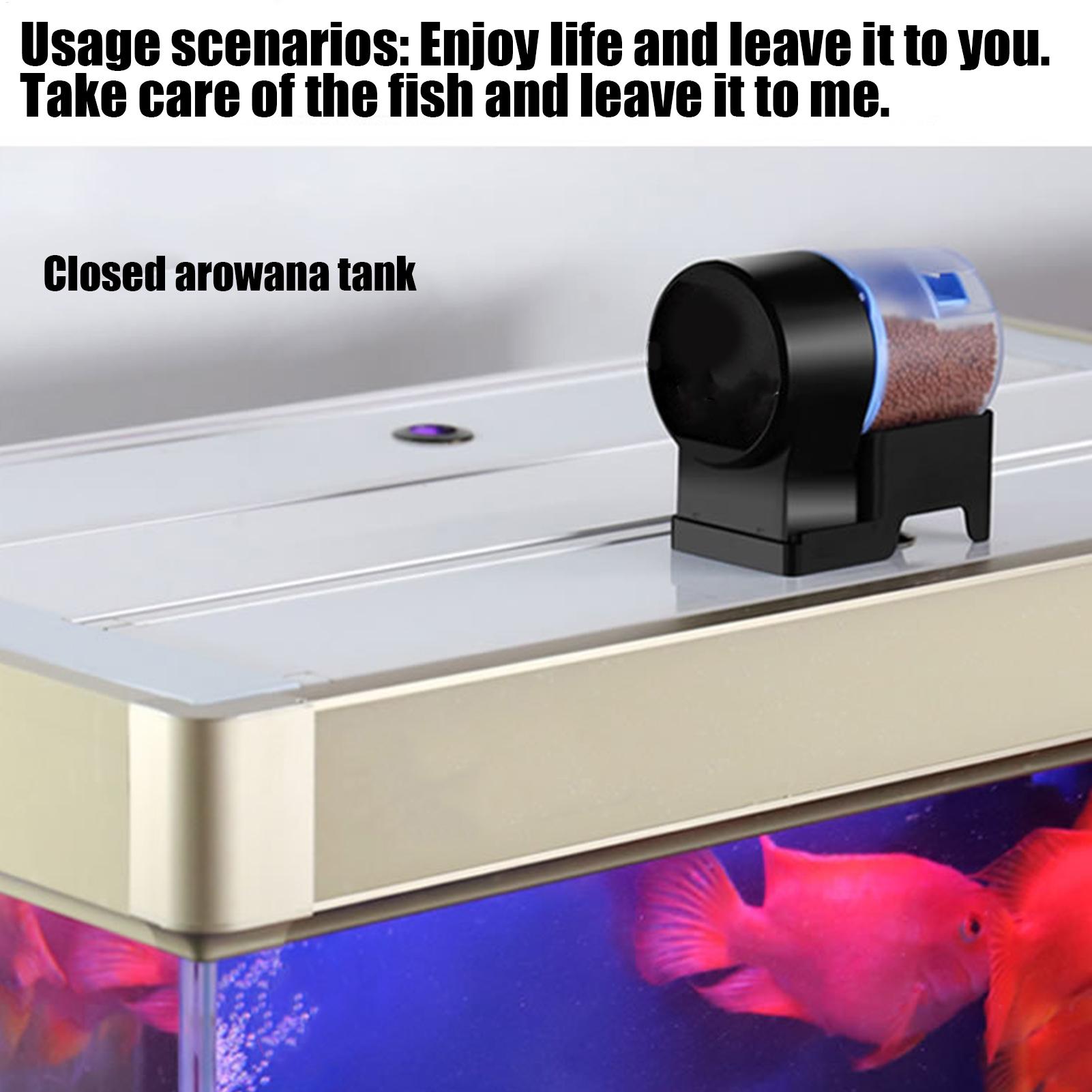 موزع طعام أوتوماتيكي للأسماك ق - مراجعة Aquarium Fish Auto Feeder وسعره