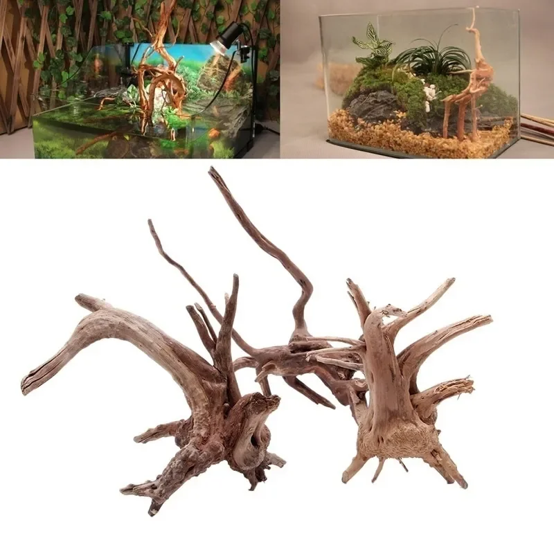 شجرة طبيعية جذع Driftwood لحوض - مراجعة Aquarium Fish Tank Price وسعره