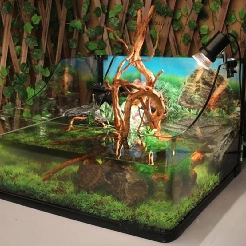 شجرة طبيعية جذع Driftwood لحوض - مراجعة Aquarium Fish Tank Price وسعره