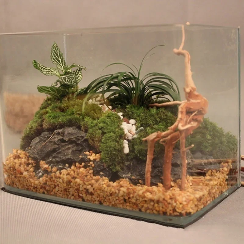 شجرة طبيعية جذع Driftwood لحوض - مراجعة Aquarium Fish Tank Price وسعره