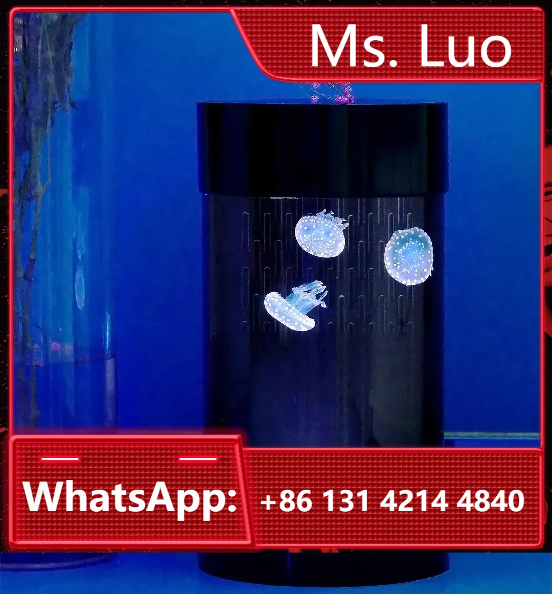 أفضل حوض قناديل البحر على أماز - مراجعة Aquarium Fish Amazon وسعره