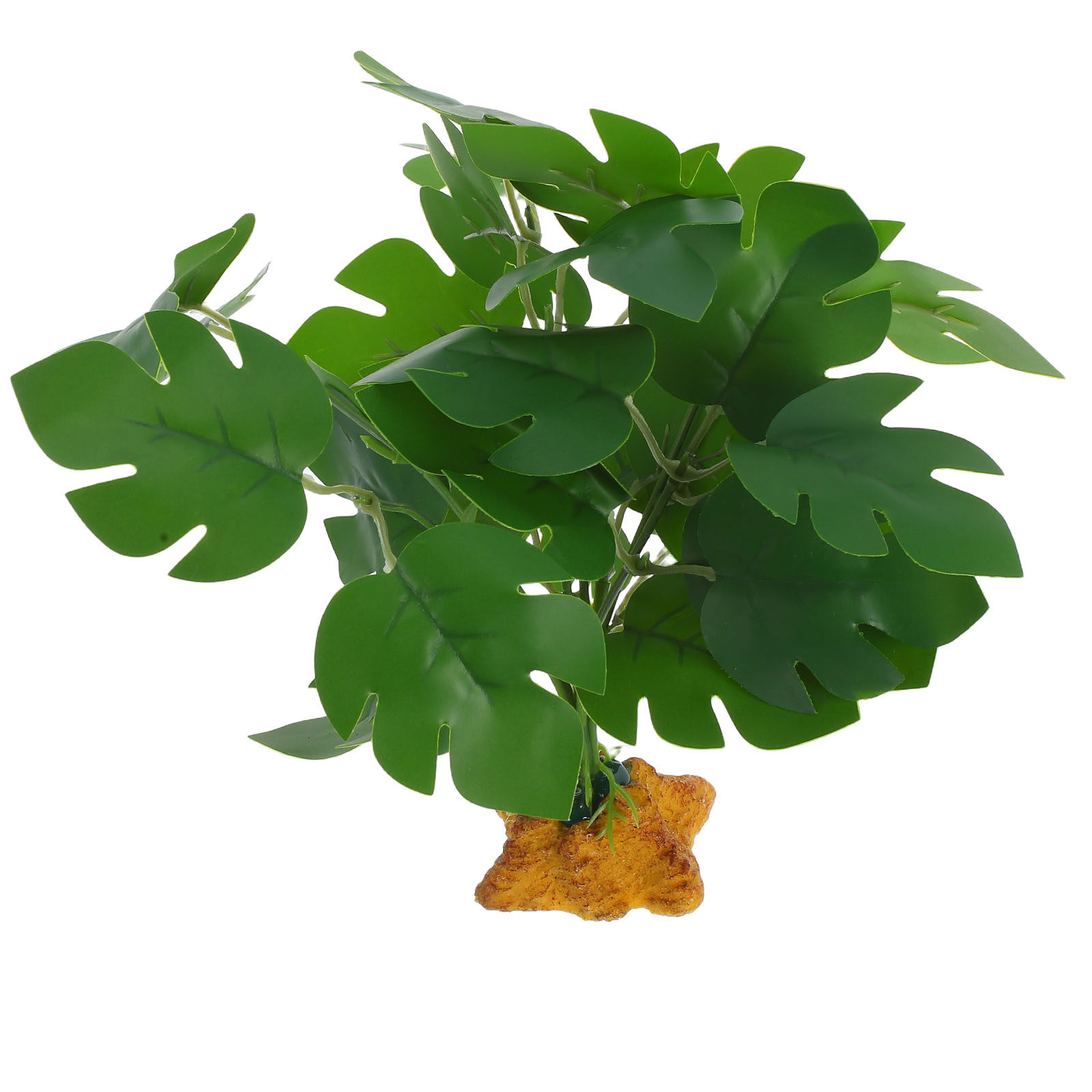 نباتات اصطناعية واقعية، نباتات - مراجعة Aquarium Fish Dragon وسعره