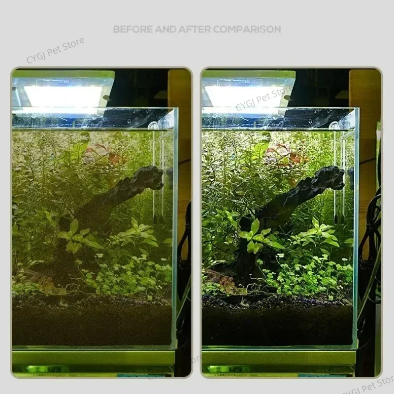 أداة تنظيف خزان الأسماك إزالة  - مراجعة Aquarium Fish Maintenance وسعره