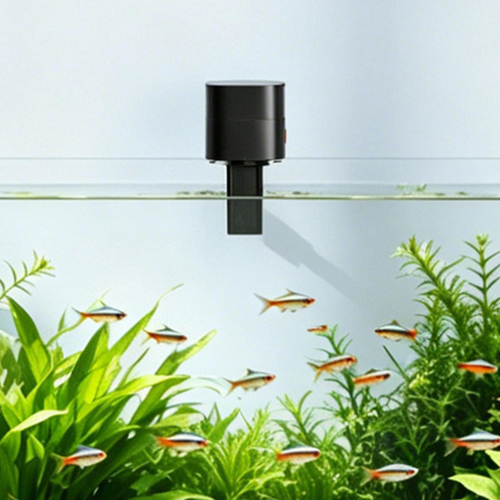 موزع طعام أوتوماتيكي للأسماك ق - مراجعة Aquarium Fish Auto Feeder وسعره
