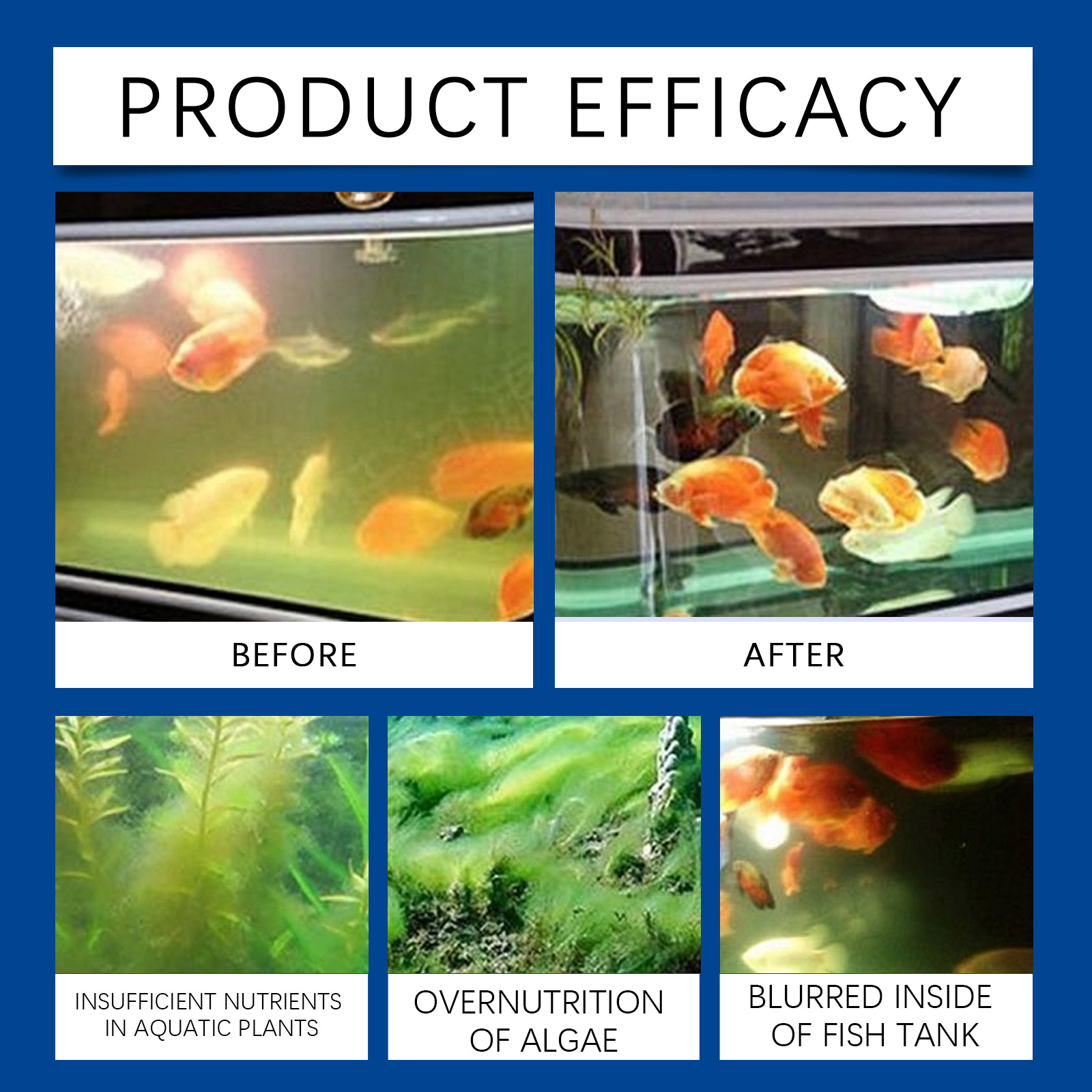 حوض السمك المياه توضيح 100 ملل - مراجعة Aquarium Fish Maintenance وسعره
