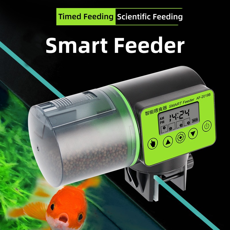 جهاز تغذية أسماك أوتوماتيكي بم - مراجعة Aquarium Fish Auto Feeder وسعره