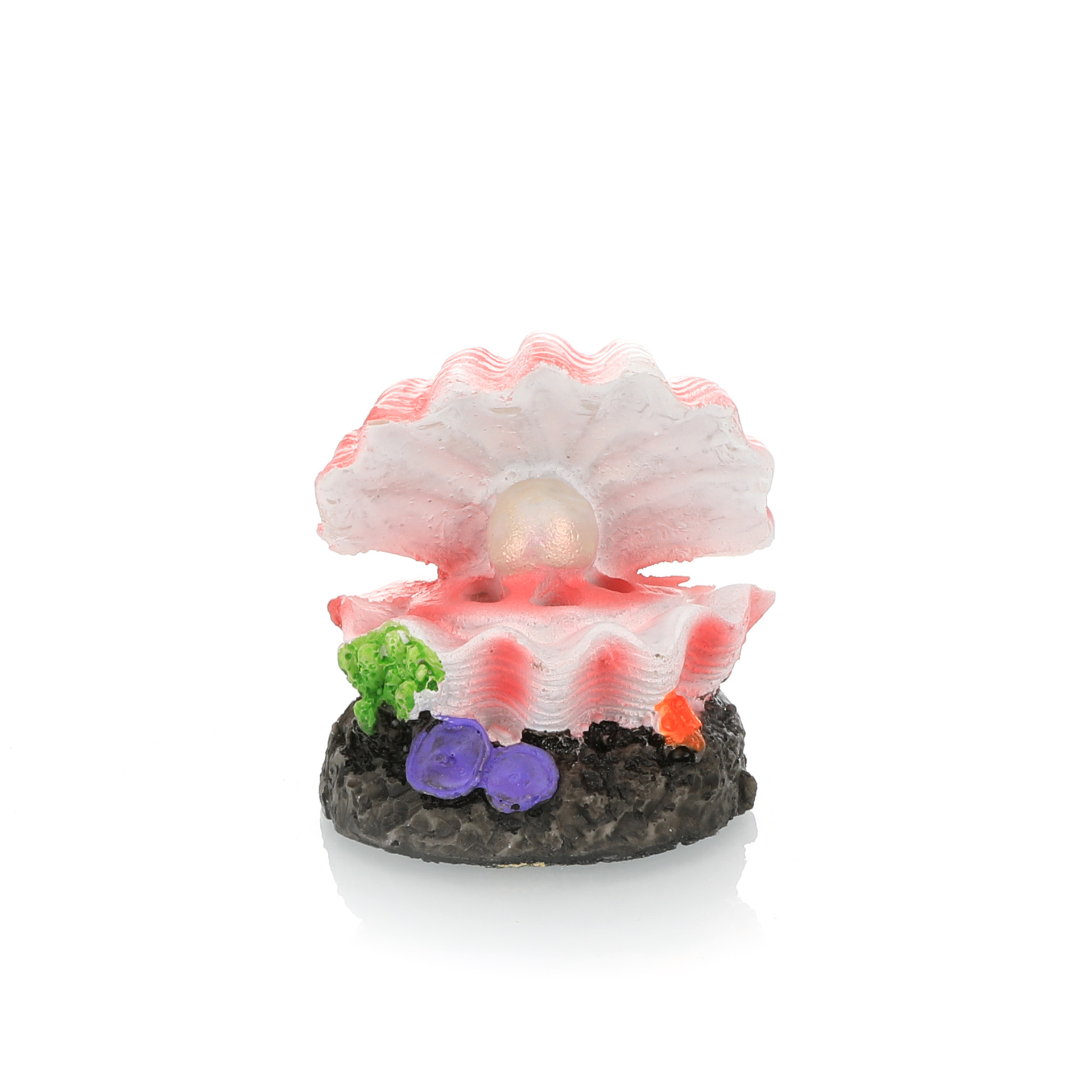 خزان الأسماك المناظر الطبيعية  - مراجعة Aquarium Fish Tank Price وسعره