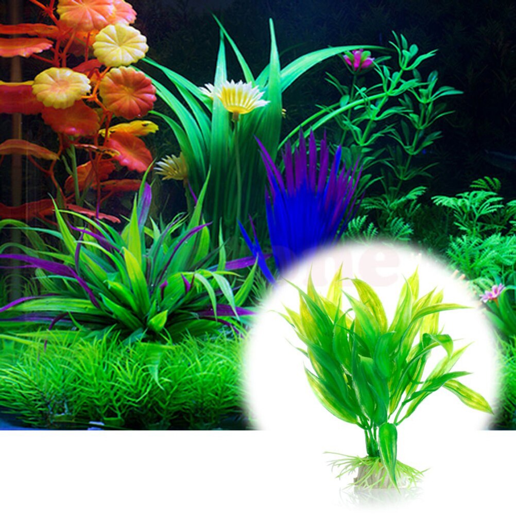 15 سنتيمتر حوض السمك الاصطناعي - مراجعة Aquarium Fish Tank Price وسعره