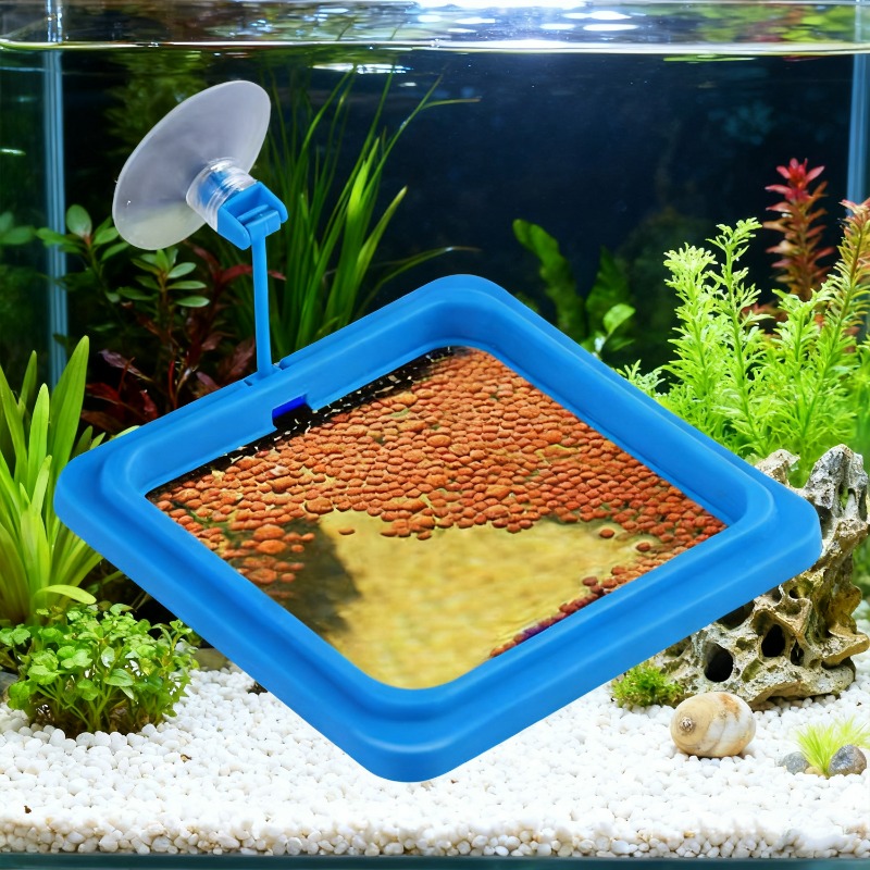 حلقة تغذية لحوض السمك، صينية ط - مراجعة Aquarium Fish Auto Feeder وسعره