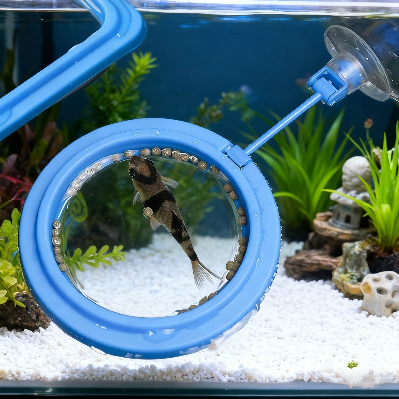 حلقة تغذية لحوض السمك، صينية ط - مراجعة Aquarium Fish Auto Feeder وسعره