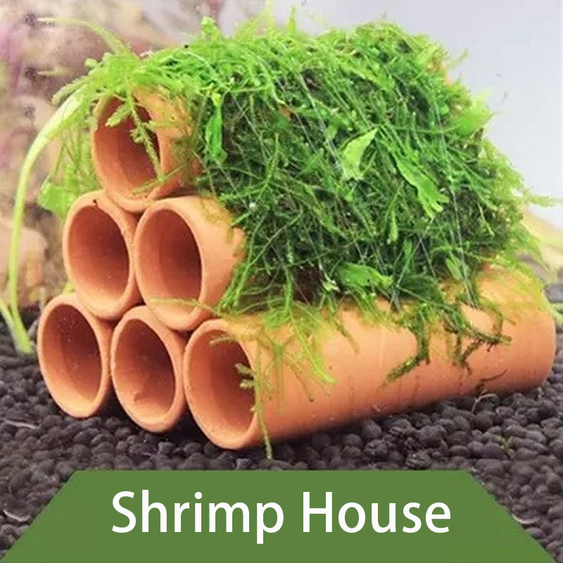 الطين حوض السمك الديكور الأسما - مراجعة Aquarium Fish Tank Price وسعره