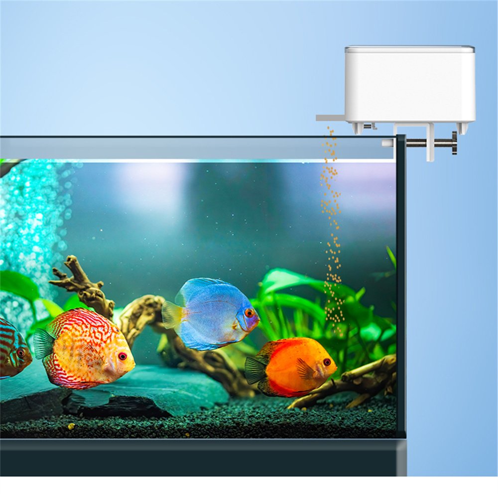 واي فاي الذكية التلقائي المغذي - مراجعة Aquarium Fish Auto Feeder وسعره