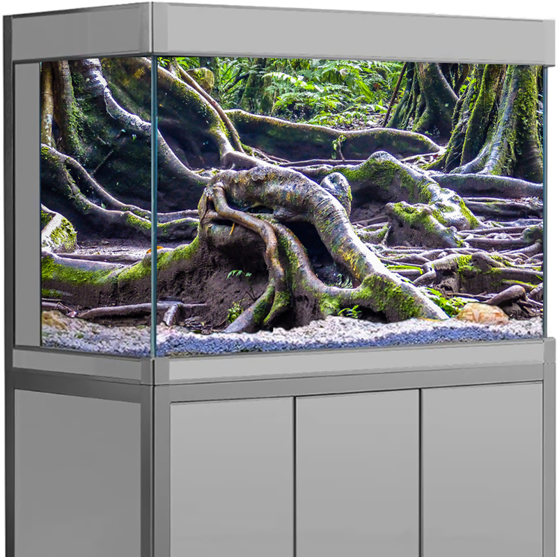 ملصق خلفية لحوض السمك، ديكور ث - مراجعة Aquarium Fish Tank Price وسعره