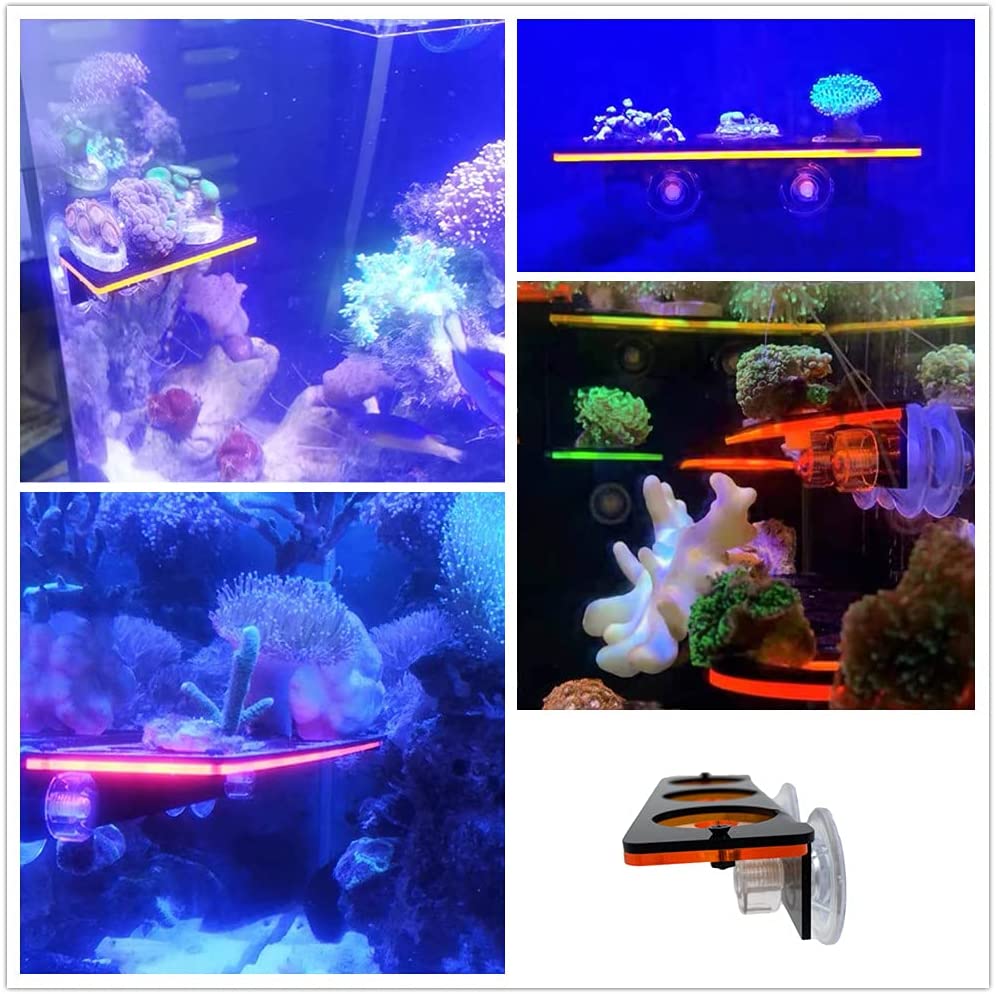 الفلورسنت المرجان Frag التوصيل - مراجعة Aquarium Fish Tank Price وسعره