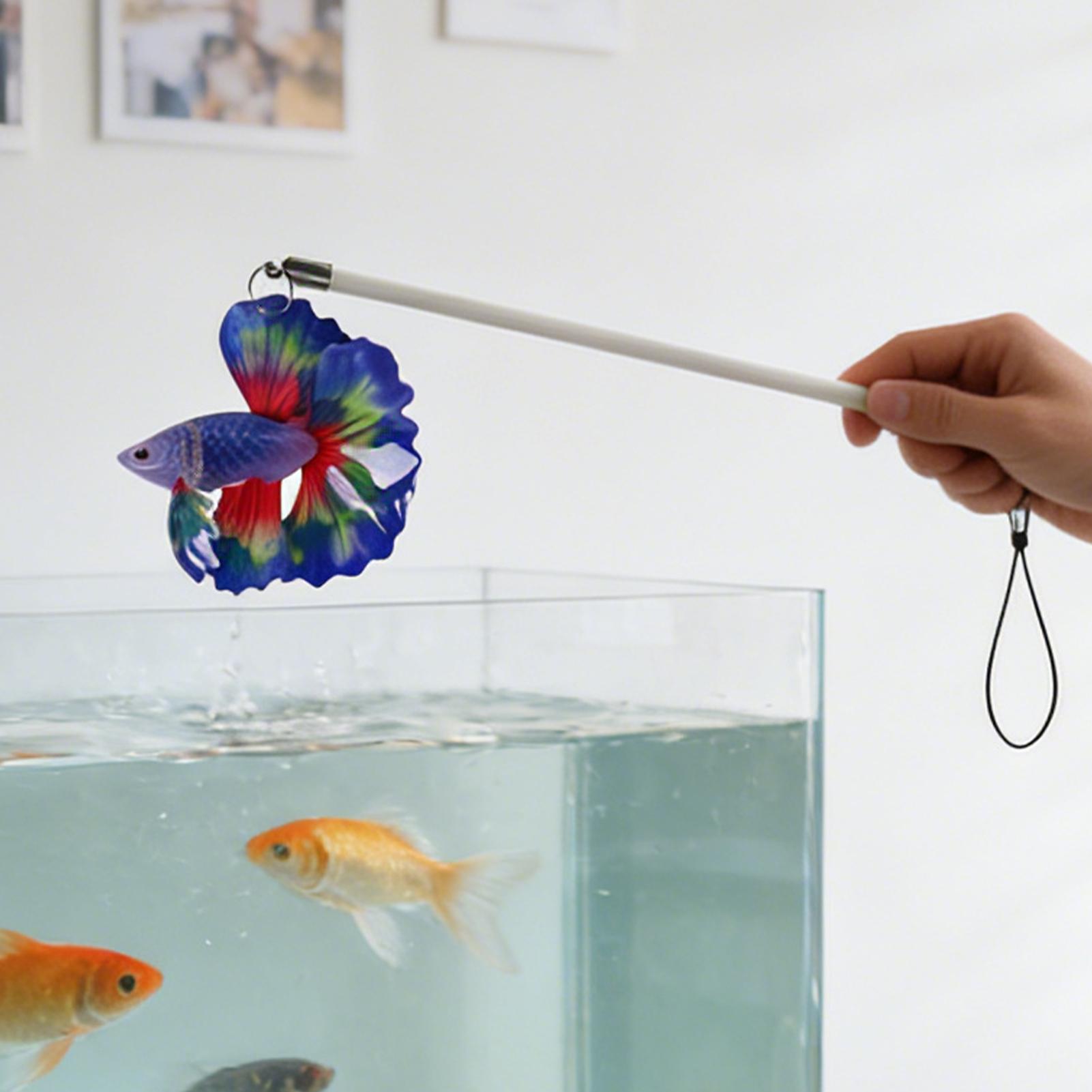 عصا تدريب الأسماك، لعبة تمارين - مراجعة Aquarium Fish Game وسعره